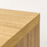 Szafka na płyty winylowe i gramofon Model_No.03